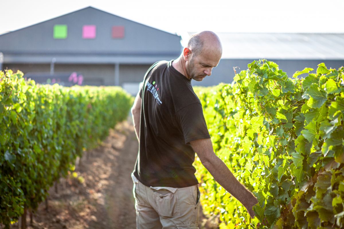 Un climat exceptionnel pour des vins généreux et élégants