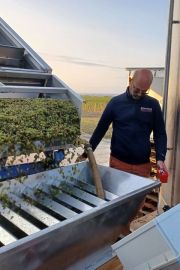 Top départ pour les vendanges. Les Chardonnay pour nos Bulles sont les premiers à rentrer et tout le monde à la banane car les premiers jus sont TOP ! Un...