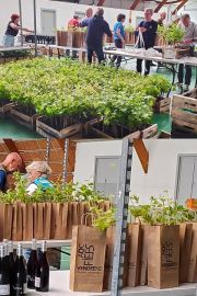 Trop fier d’être partenaire du Trail du Canal à la Rochelle. L’association a eu la bonne idée d’offrir à chaque participant un plant en pot de la variété...