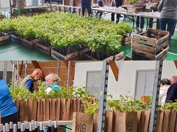 Trop fier d’être partenaire du Trail du Canal à la Rochelle. L’association a eu la bonne idée d’offrir à chaque participant un plant en pot de la variété...