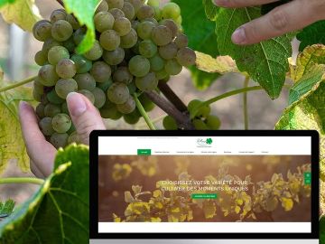 Vous avez toujours rêvé de cultiver votre propre vigne ? Que ce soit pour déguster, pour faire du vin ou pour décorer, découvrez le nouveau site de vente en...
