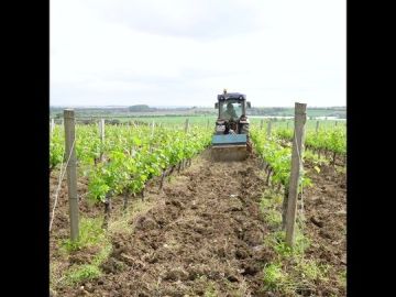 Jean-Luc et Thomas, nos deux tractoristes, sont à fond dans le travail du sol. Il s’agit d’un travail délicat nécessitant une grande dextérité. Les outils...