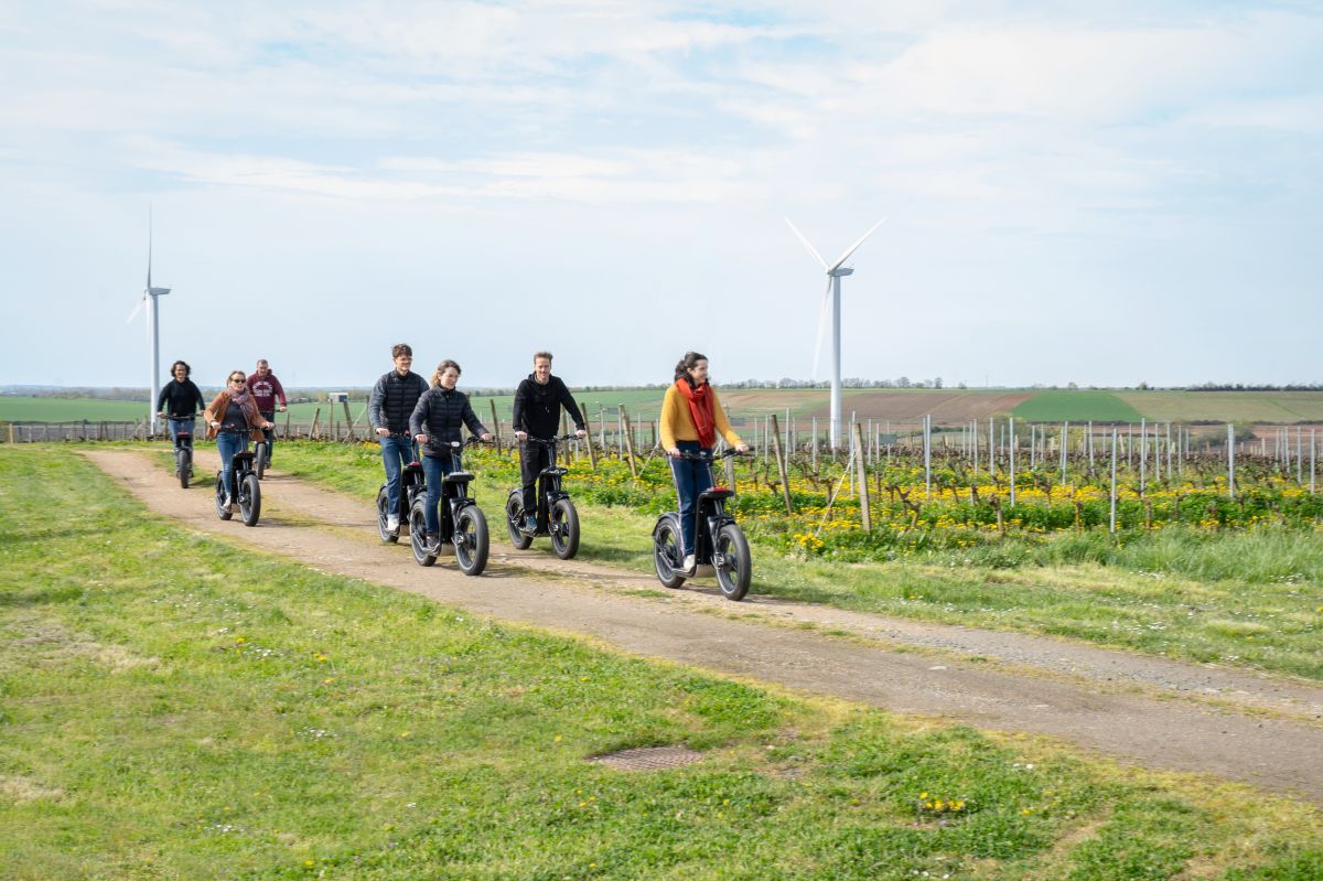 Trotinette Electrique Trotinette Electrique